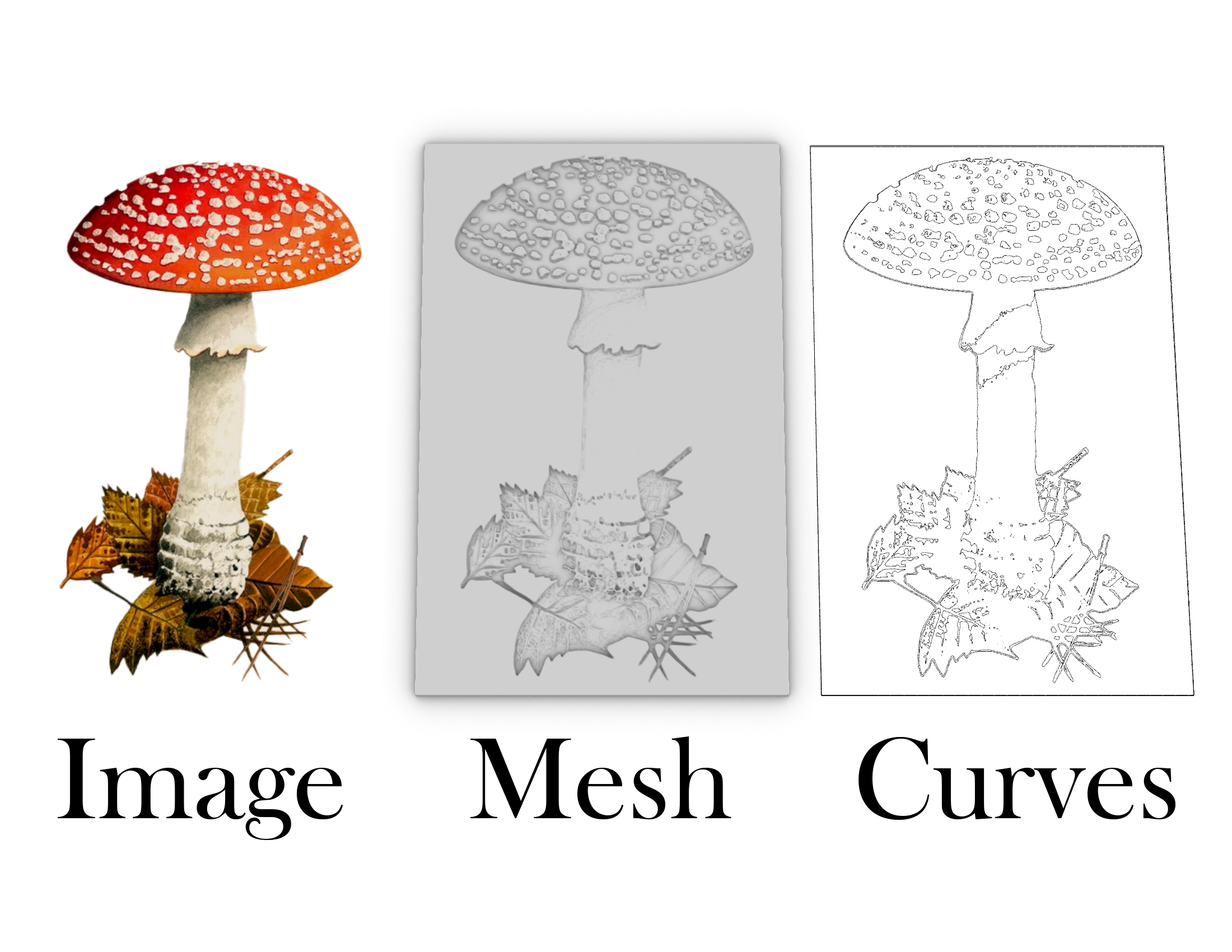 an image of a mushroom being digitally translated into a vector drawing